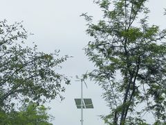 -广州国际生物岛