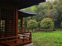 -兰亭风景区
