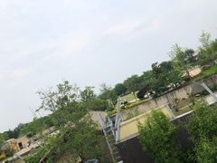 -上方山森林动物世界