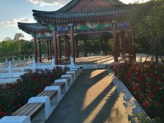 -西海子公园