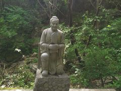 -王顺山国家森林公园