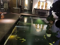 -觀芷隐轩