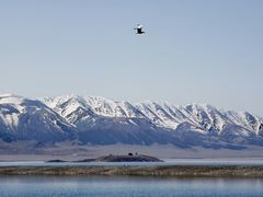 -赛里木湖风景名胜区