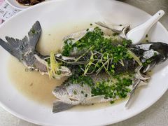 清蒸泉水鲩鱼-成惠食府(赤岗店)