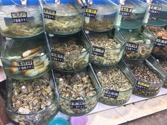 -烁佳海鲜大馅饺子