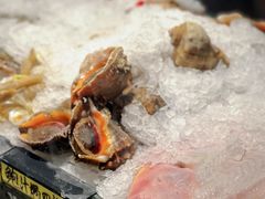 -渔娘渔家丹东海鲜(东直门店)