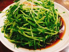 炒豆苗-孙府大院(步行街店)