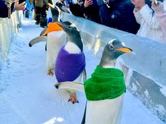 -波塞冬旅游度假区