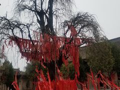 -西安关中民俗艺术博物院