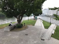 -中之岛公园