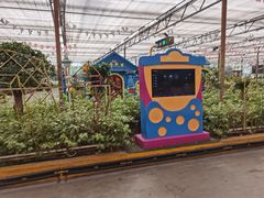 -南宫五洲植物乐园