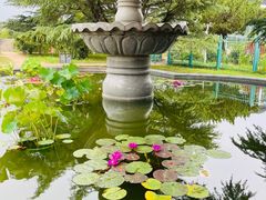 -国家植物园南园