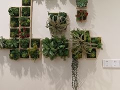 -上海浦东由由信福养老院