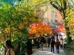 -宋宴(虎跑店)
