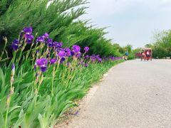 -永定河休闲森林公园