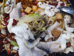 -金三可市井水煮鱼(金碧园店)