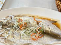 -蟹天蟹地农家菜·阳澄湖大闸蟹(浅水湾店)