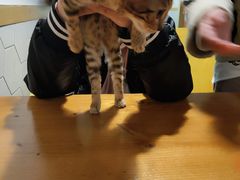 -有何Book(六堰体育馆店)