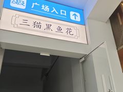 -三猫黑鱼花(南大店)