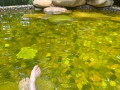 -天目湖涵田半山温泉