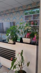 -阿茹娜美容会馆