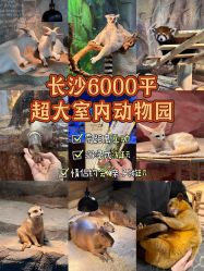 -Zoolung Zoolung动物主题公园(海信广场店)