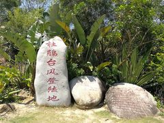 -广东惠东海龟国家级自然保护区