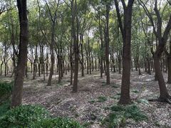 -嘉北郊野公园