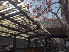 -北京水岸山吧度假村(雁栖镇店)