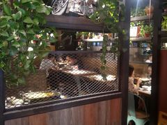 -探鱼·鲜青椒爽麻烤鱼(西南商都店)