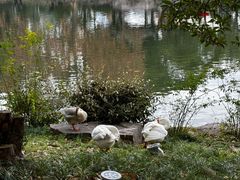 -台州府城(东湖)