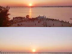 -宝安西湾红树林湿地公园