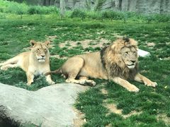 -北京野生动物园