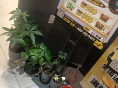 -梵猫·新养生(加州广场店)