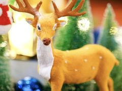 -深圳星河丽思卡尔顿酒店