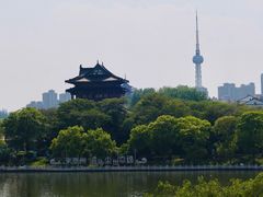 -梅园