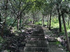 -北京十三陵国家森林公园蟒山景区