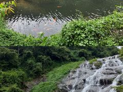 -马峦山郊野公园