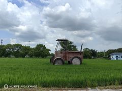 -嘉北郊野公园