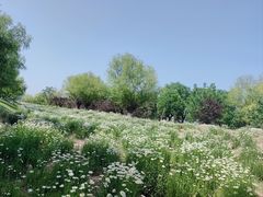 -汉长安城未央宫国家考古遗址公园