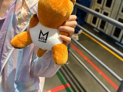 -运动派(北京店)