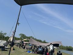 -春花秋色城市公园