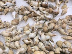 -钱小奴创意自助餐厅·原切谷饲安格斯畅吃(宁波奉化银泰店)