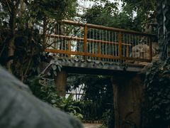-郑州植物园