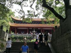 -普陀山风景名胜区-法雨禅寺
