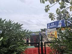 -北海金海湾红树林生态旅游区