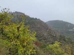 -府君山公园