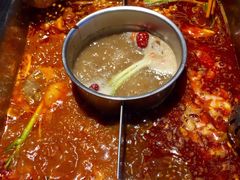 -巴奴毛肚火锅(商城路店)