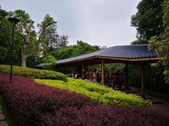 -金山公园