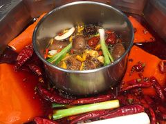 双人锅鸳鸯-蜀九香火锅(九眼桥店)